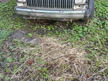 Авто Jeep Cherokee 1990 № 8769558