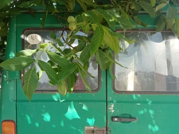Авто Mercedes Mb 1993 № 8777778