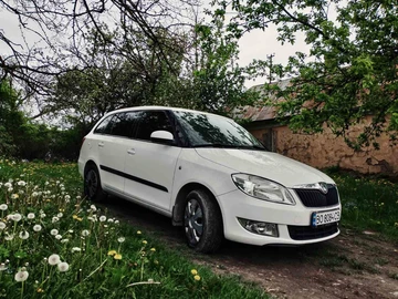Авто Skoda Fabia 2010 № 8779989