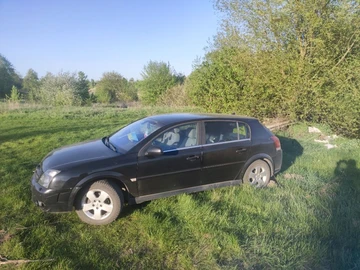 Авто Opel Signum 2002 № 8782186
