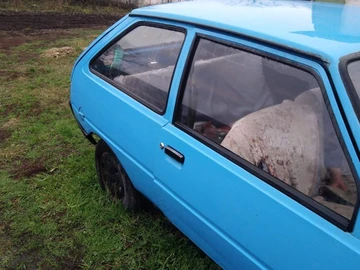 Авто ЗАЗ 1102 1989 № 8788367