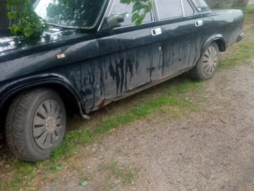 Авто ГАЗ 31029 1999 № 8793732