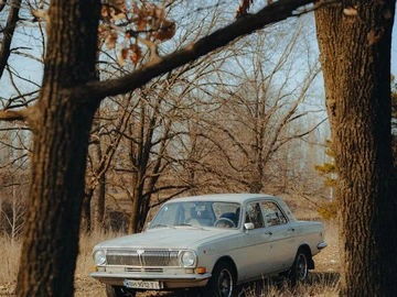 Авто ГАЗ 24 1978 № 8794679