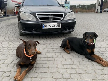 Авто Mercedes 220 2002 № 8795014