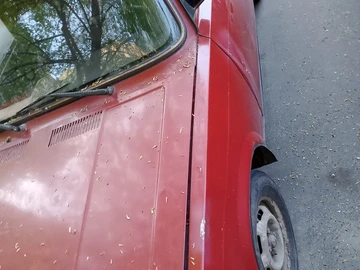 Авто ВАЗ 2104 2005 № 8795204