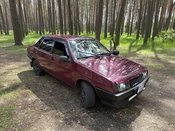 Авто ВАЗ 21099 2006 № 8800002