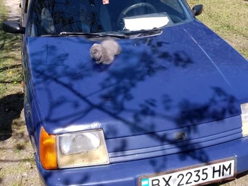 Авто ЗАЗ 1103 Slavuta 2004 № 8801213
