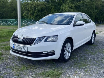 Авто Skoda Octavia 2017 № 8808969