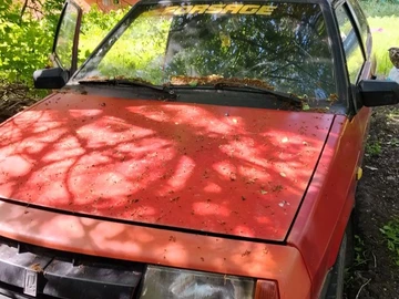 Авто ВАЗ 2108 1989 № 8811091