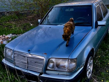 Авто Mercedes 260 1987 № 8820773