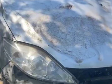 Авто Mazda 5 2005 № 8821180