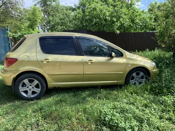Авто Peugeot 307 2004 № 8822380