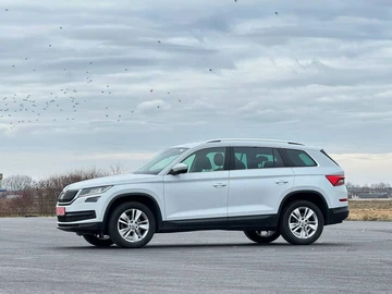 Авто Skoda Kodiaq 2019 № 8825941