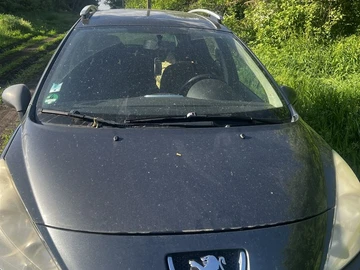 Авто Peugeot 207 2010 № 8827040