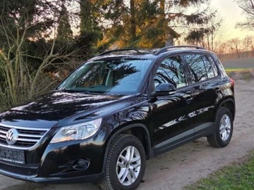 Авто Volkswagen Tiguan 2009 № 8831197