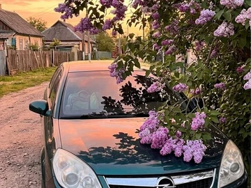 Авто Opel Vectra 2007 № 8835022
