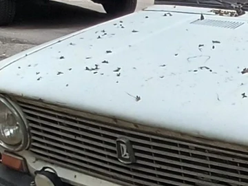 Авто ВАЗ 2101 1976 № 8835593