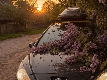 Авто Peugeot 308 2008 № 8837048