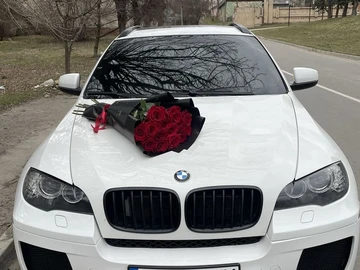Авто BMW X6 2008 № 8837728