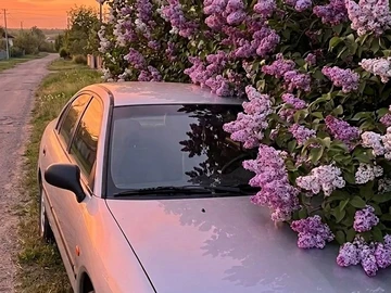 Авто Mitsubishi Carisma 1997 № 8838141