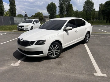 Авто Skoda Octavia 2018 № 8840285