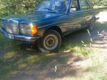 Авто Mercedes 220 1978 № 8842471