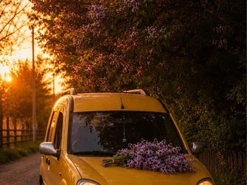 Авто Renault Kangoo Passenger 2003 № 8843577