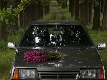 Авто ВАЗ 2109 1995 № 8846807