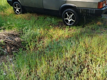 Авто ВАЗ 21099 1995 № 8847138