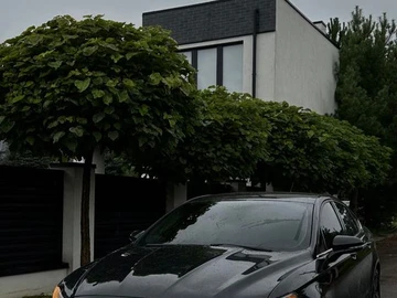 Авто Ford Fusion 2014 № 8850156