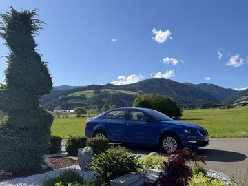 Авто Skoda Octavia 2018 № 8850345