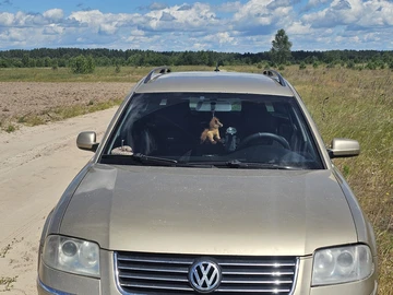 Авто Volkswagen Passat Variant 2002 № 8855550
