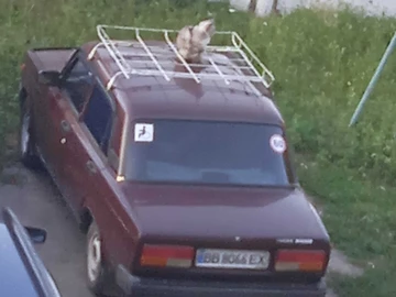 Авто ВАЗ 21074 2007 № 8859280