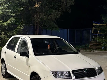 Авто Skoda Fabia 2006 № 8863951