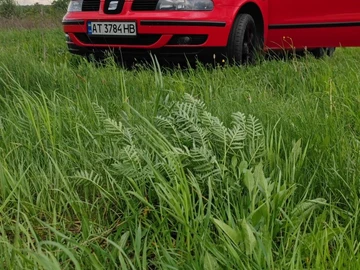 Авто SEAT Toledo 1999 № 8865892