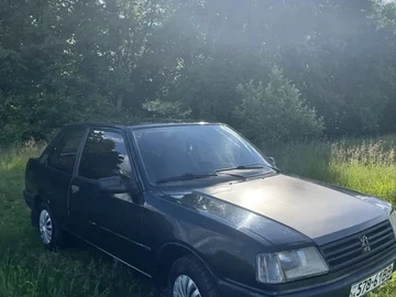 Авто Peugeot 309 1988 № 8866093
