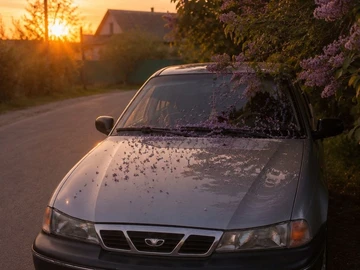Авто Daewoo Arcadia 2007 № 8868098
