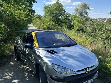 Авто Peugeot 206 2001 № 8873047