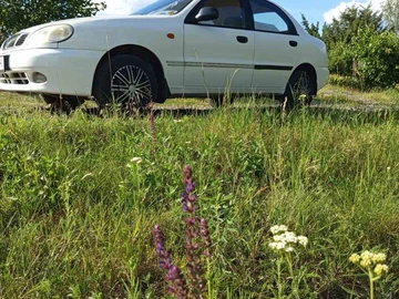 Авто Daewoo Sens 2005 № 8875184