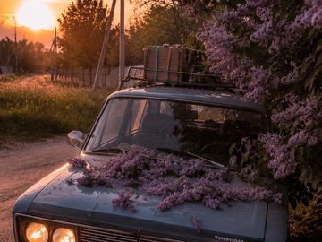 Авто ВАЗ 2106 1987 № 8879539