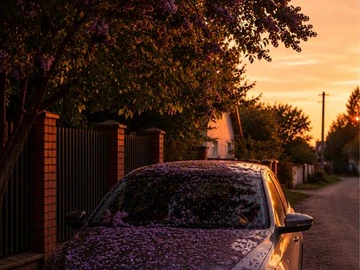 Авто Volkswagen Passat Sedan 2013 № 8884249