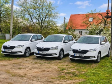 Авто Skoda Fabia 2019 № 8888072