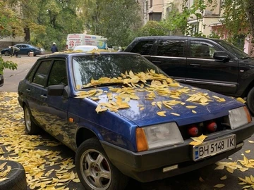Авто ВАЗ 21099 2003 № 8891163