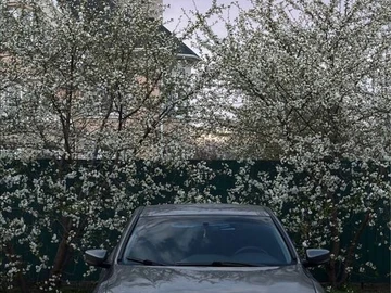 Авто Honda Accord 2013 № 8893165