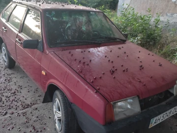 Авто ВАЗ 2109 1991 № 8893180