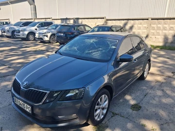 Авто Skoda Octavia 2019 № 8894080