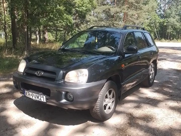 Авто Hyundai Santa Fe 2006 № 8896075