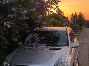 Авто Mercedes 280 2006 № 8896499
