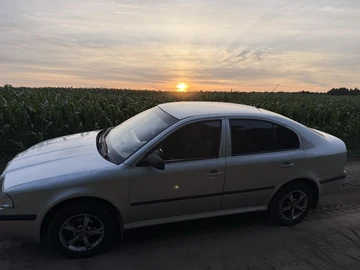 Авто Skoda Octavia 2006 № 8896819