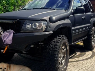 Авто Jeep Cherokee 1999 № 8901345